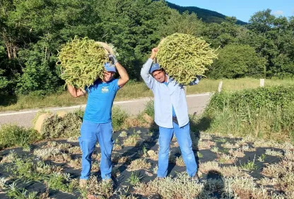 &Omicron;&lambda;&omicron;&kappa;&lambda;&eta;&rho;ώ&theta;&eta;&kappa;&epsilon; &kappa;&alpha;&iota; &eta; &phi;&epsilon;&tau;&iota;&nu;ή &sigma;&upsilon;&gamma;&kappa;&omicron;&mu;&iota;&delta;ή &sigma;&iota;&delta;&epsilon;&rho;ί&tau;&eta; &tau;&eta;&sigmaf; &Zeta;&upsilon;&theta;&omicron;&pi;&omicron;&iota;ί&alpha;&sigmaf; &Mu;&alpha;&kappa;&epsilon;&delta;&omicron;&nu;ί&alpha;&sigmaf; &Theta;&rho;ά&kappa;&eta;&sigmaf;