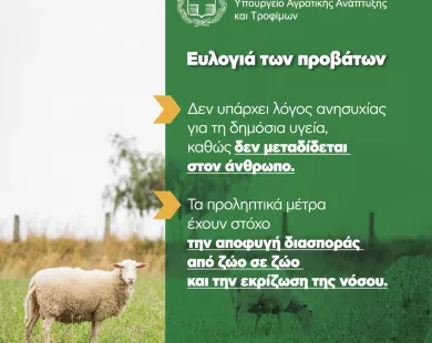Ευλογιά: Τα μέτρα για τον περιορισμό  και εκρίζωση της νόσου