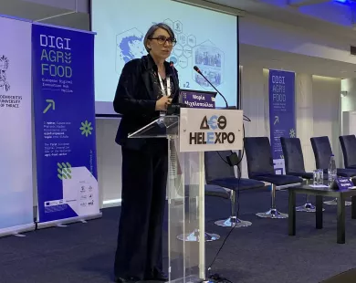 Μ. Μιχαλοπούλου:  Η δραστηριότητα του  ΔΠΘ κάθε χρόνο μεγαλώνει