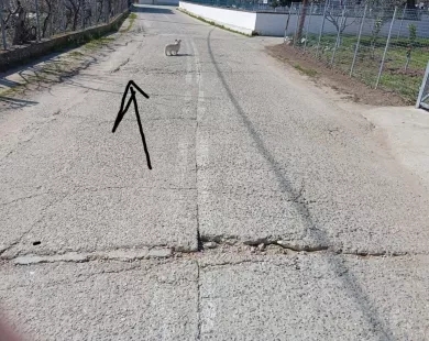 Ζητήματα οπτικής ίνας στον Ληνό καταγγέλλει ο Ραμαδάν Χατζή