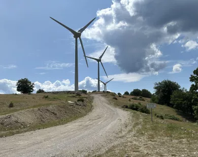Νέα αντίδραση περιβαλλοντικών  οργανώσεων για τις ανεμογεννήτριες  στον πυρόπληκτο Έβρο