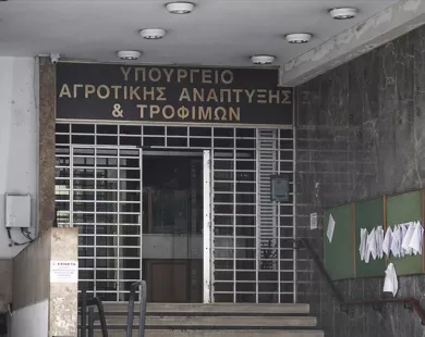 23435436457-27.jpg