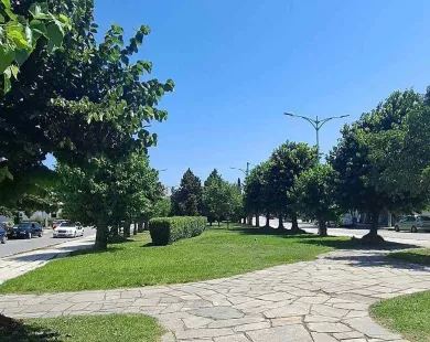 Εντατικές παρεμβάσεις σε Κομοτηνή και οικισμούς από το Τμήμα Πρασίνου