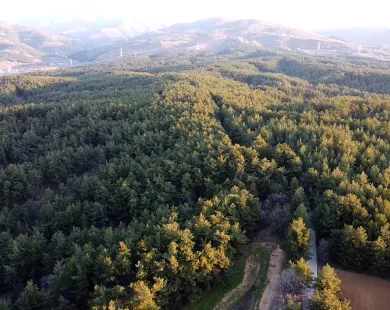 Προειδοποίηση  Περιφέρειας ΑΜΘ  για αντιπυρική  περίοδο  και πυρκαγιές
