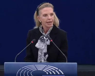 Παρέμβαση Βόζεμπεργκ για τα 42 χρόνια από  την παράνομη ανακήρυξη του ψευδοκράτους  