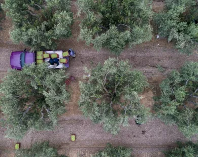 Νέα Αριστερά:  Η ερημοποίηση  της υπαίθρου αποκαλύπτει την πλήρη αποτυχία  της κυβερνητικής πολιτικής