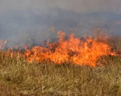 Ξάνθη: Πρόστιμο σε ημεδαπό που έβαλε φωτιά δίπλα σε δάσος