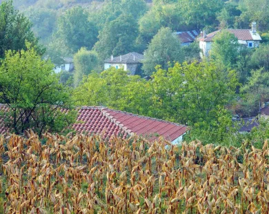 Ανθρωποκτονία στον Κάρδαμο: Επίσημη ενημέρωση από την ΕΛ.ΑΣ.