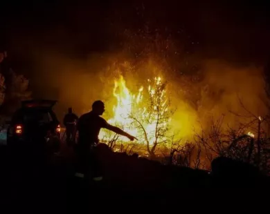 Καστανιές: Συνελήφθη καταδικασμένος εμπρηστής