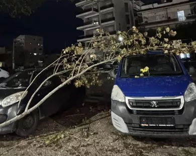 Κομοτηνή: Πτώση κλαδιού σε παρκαρισμένα αυτοκίνητα