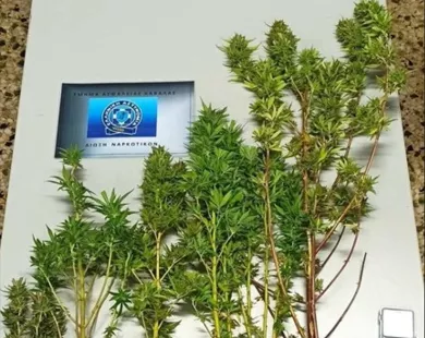 Στοχευμένες αστυνομικές επιχειρήσεις κατά των ναρκωτικών στην ΑΜΘ