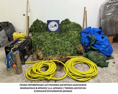«Ξηλώθηκε» μεγάλη χασισοφυτεία από δυσπρόσιτη δασική περιοχή της Δράμας