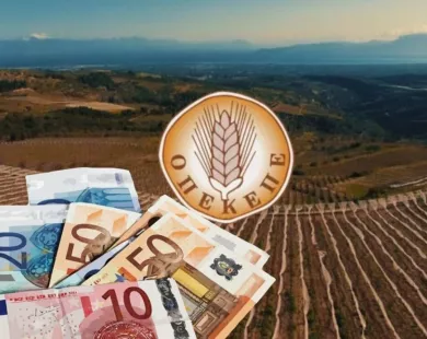 ΟΠΕΚΕΠΕ: Νέα πληρωμή 25,3 εκατ. ευρώ σε 43.100 δικαιούχους