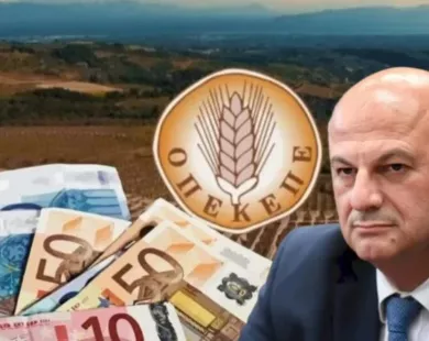 Κ. Τσιάρας: Κάνουμε ελέγχους και οι ελεγχόμενοι αποφεύγουν τον έλεγχο και «εξαφανίζονται»