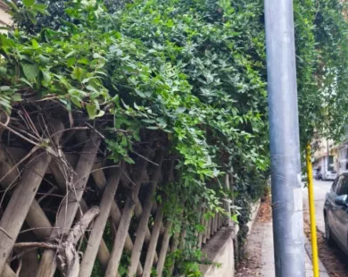 Πώς να περάσει ο πεζός;