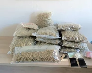 Κήποι: Περισσότερα από 16 κιλά κάνναβης κρυμμένα σε ρεζέρβα αυτοκινήτου