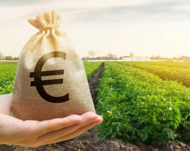 ΥΠΑΑΤ: Οι πληρωμές στους αγρότες από 1/1 έως 1/12 του 2025