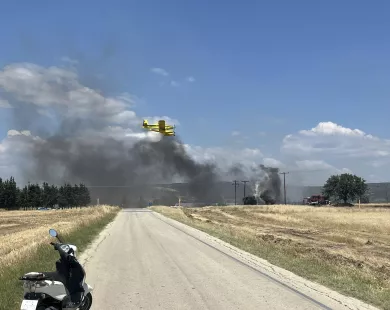 Πυρκαγιά στην Αγνάντια Αλεξανδρούπολης