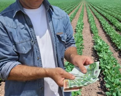 Αυτό είναι το χρονοδιάγραμμα πληρωμών και μέτρων για αγρότες και κτηνοτρόφους