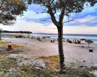 Αρωγή: Πολίτες έσωσαν Βούλγαρο από πνιγμό