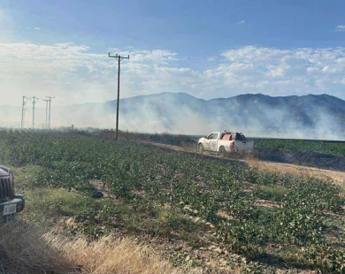 Μεσσούνη: Άμεση αντίδραση της Πυροσβεστικής Υπηρεσίας απέτρεψε τα χειρότερα