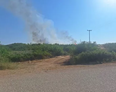 Ξυλαγανή: Υπό έλεγχο η φωτιά 