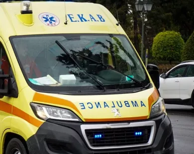 ekav_12.jpg