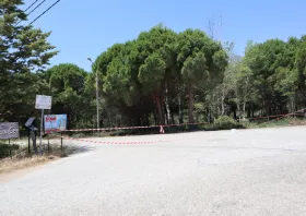 Δημόσιο κάλεσμα στήριξης  για την αξιοποίηση των  αναδασώσεων Κρυονερίου - Ιμέρου