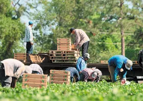 Εργάτες γης από την δεξαμενή  των μεταναστών