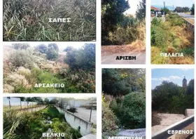 Ντ. Χαριτόπουλος:  Εγκαταλελειμμένα τα  ρέματα εντός των οικισμών