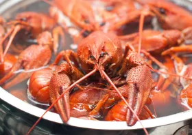 05-karavides.jpg