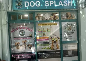 Dog Splash:  Το πρώτο self service  πλυντήριο σκύλων στην Κομοτηνή 