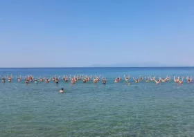 Μεγάλη συμμετοχή στο aqua aerobic στην παραλία Αρωγής