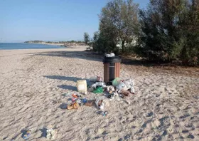 Ξεχειλισμένοι  κάδοι στην Αρωγή,  ποιός φταίει;