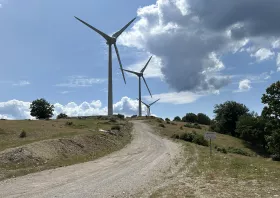 Νέα αντίδραση περιβαλλοντικών  οργανώσεων για τις ανεμογεννήτριες  στον πυρόπληκτο Έβρο