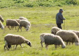 Θα μπει τάξη στα βοσκοτόπια  της χώρας;