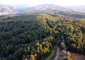 Προειδοποίηση  Περιφέρειας ΑΜΘ  για αντιπυρική  περίοδο  και πυρκαγιές