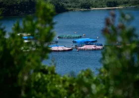 Νέο πρόγραμμα 26 εκατ. ευρώ  για τη μεταποίηση προϊόντων αλιείας  και υδατοκαλλιέργειας