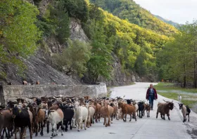 ΥΠΑΑΤ: Επιπλέον 50 εκατ. ευρώ  σε κτηνοτρόφους & Περιφέρειες 