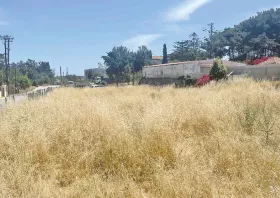 Δήμος Κομοτηνής: Λιγότερα τα καθαρισμένα οικόπεδα, περισσότερες οι καταγγελίες