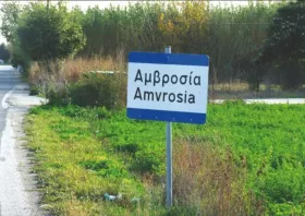 AMBROSIA