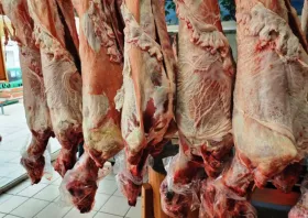 Αποζημίωση κτηνοτρόφων για την υποχρεωτική καταστροφή συκωταριών διεκδικεί το ΚΚΕ
