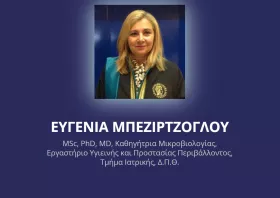 Καθηγήτρια ΔΠΘ ορίστηκε πρόεδρος του Εθνικού Κέντρου Τεκμηρίωσης & Ηλεκτρονικού Περιεχομένου