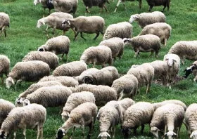 Επέκταση  με τροπολογία των παρεμβάσεων για ευλογιά και αφθώδη πυρετό