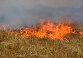 Ξάνθη: Πρόστιμο σε ημεδαπό που έβαλε φωτιά δίπλα σε δάσος