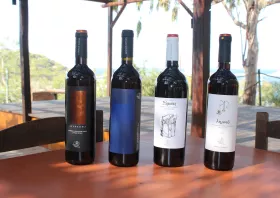 Limnos Wines:  Η δύναμη της Λήμνου  σε κάθε σταγόνα και στις γιορτές 