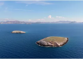 Έχω κι εγώ να πω κάτι για  τα Ίμια: Η Ειρήνη  είναι κόρη της ευφυΐας