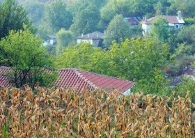 Ανθρωποκτονία στον Κάρδαμο: Επίσημη ενημέρωση από την ΕΛ.ΑΣ.