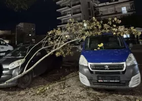 Κομοτηνή: Πτώση κλαδιού σε παρκαρισμένα αυτοκίνητα