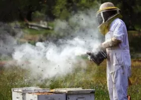 Απαγορεύεται η χρήση καπνίσματος στα μελίσσια την Πέμπτη